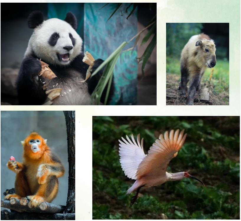 沈阳3天2夜游玩攻略,沈阳三日游攻略最新一期