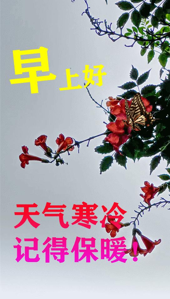 早晨阳光表情图片,秋季清晨非常漂亮早上好表情图片