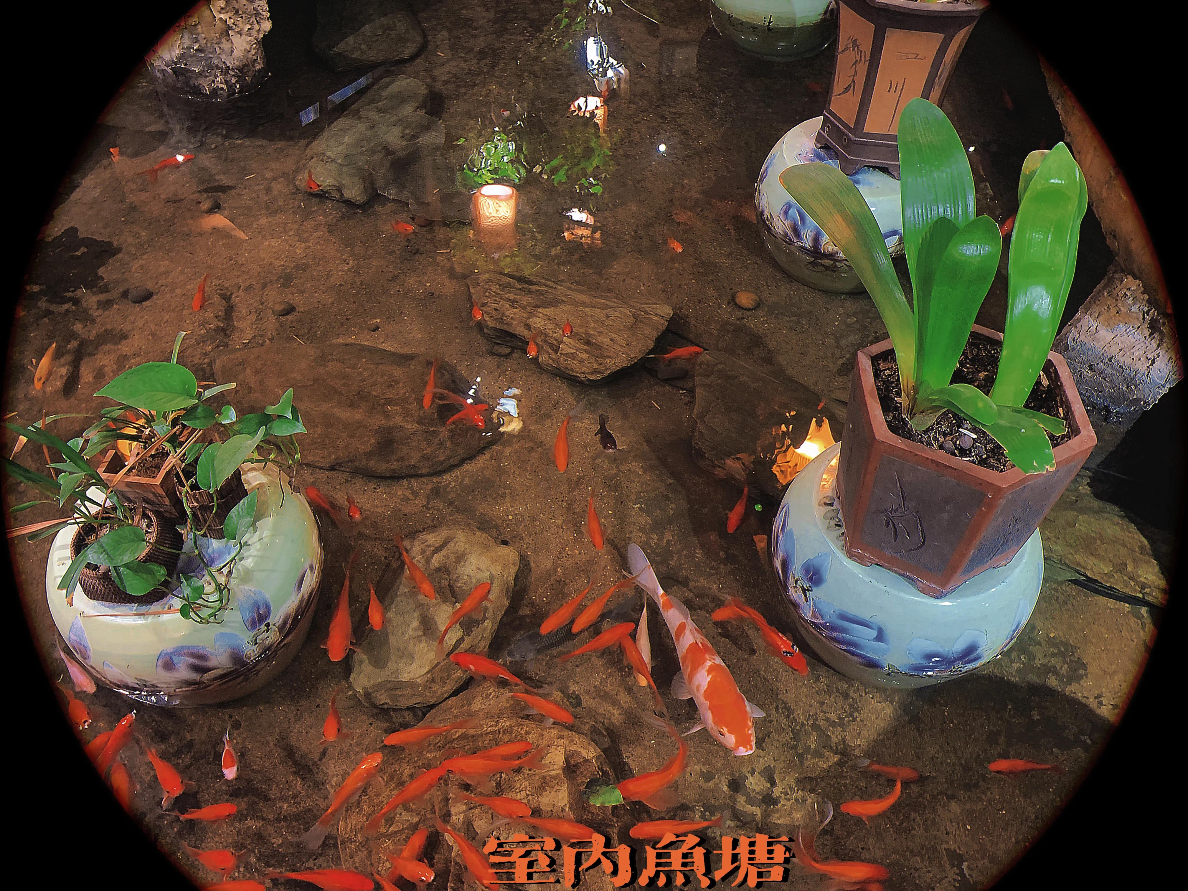 适合长沙小型公司年会餐厅,长沙公司年会餐厅推荐