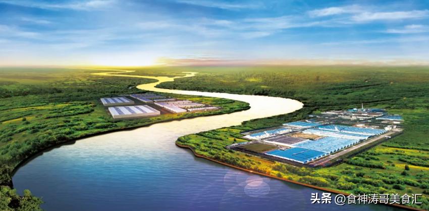 娌冲崡鍚嶉厭闄ㄨ惤鏇剧粡瀹跺柣鎴锋檽,娌冲崡鍚嶉厭鍗佸勾