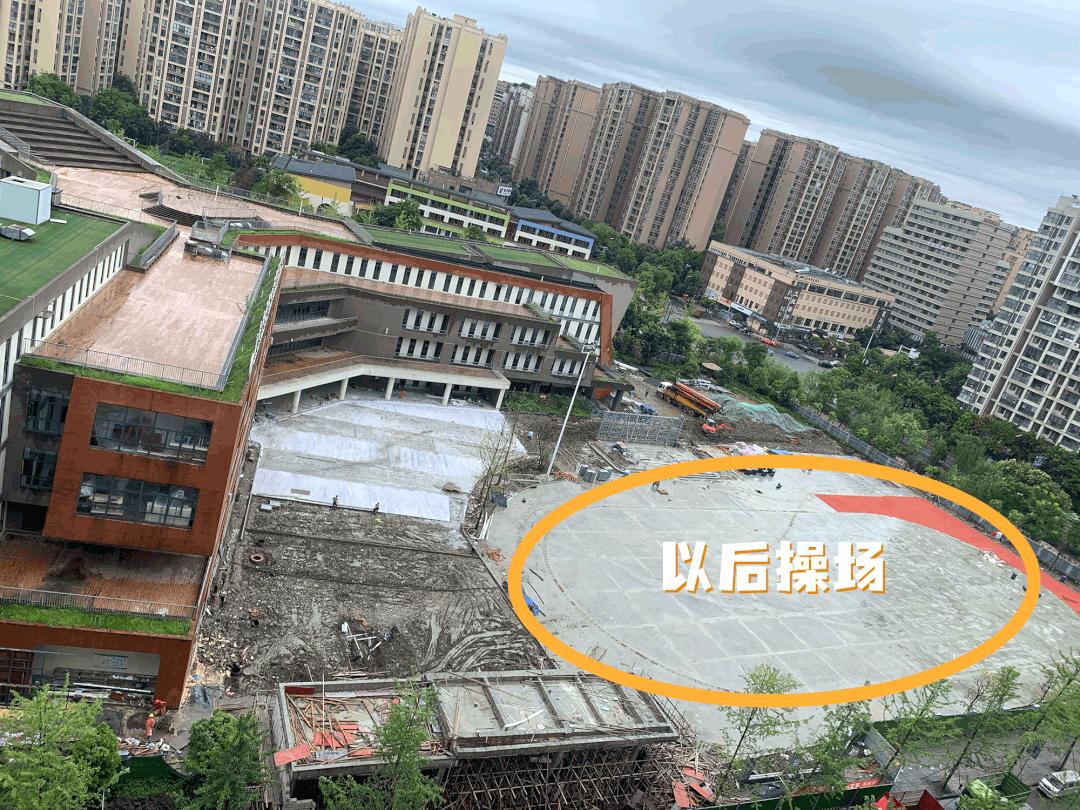 青羊树德实验弘毅校区,树德实验中学弘毅校区怎样