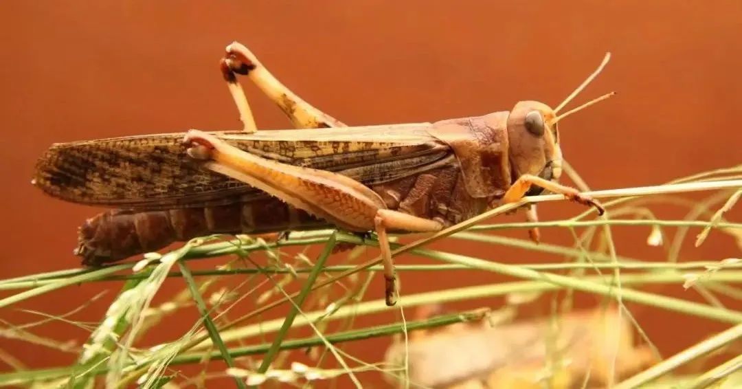 pta最新基本面分析,f10基本面分析技巧