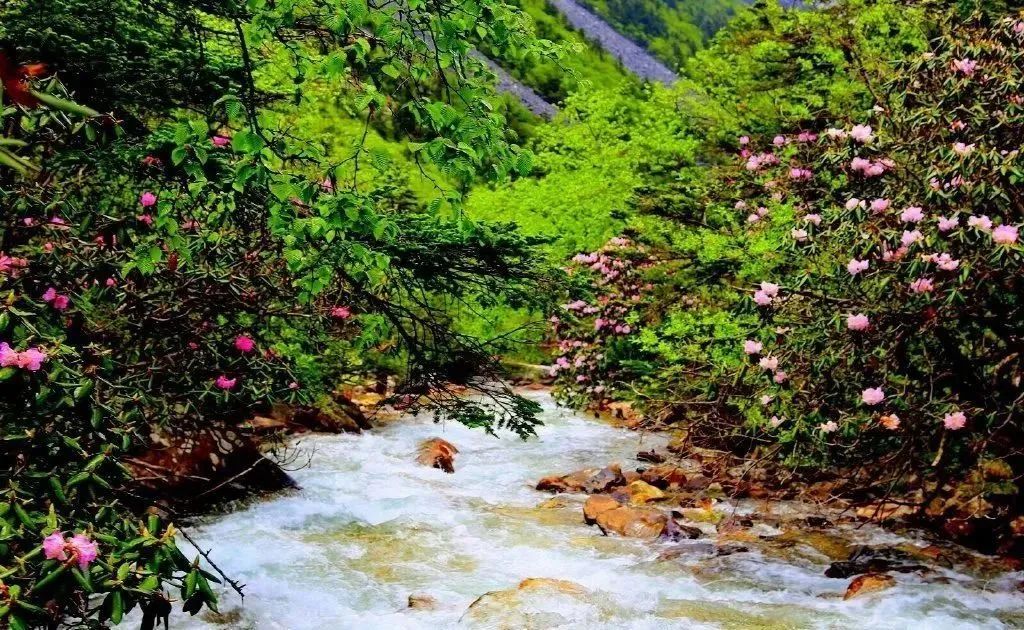 2021年中国旅游日四川景点优惠,四川中国旅游日优惠