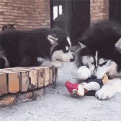 特别想挨揍的表情包,喜羊羊挨揍表情包