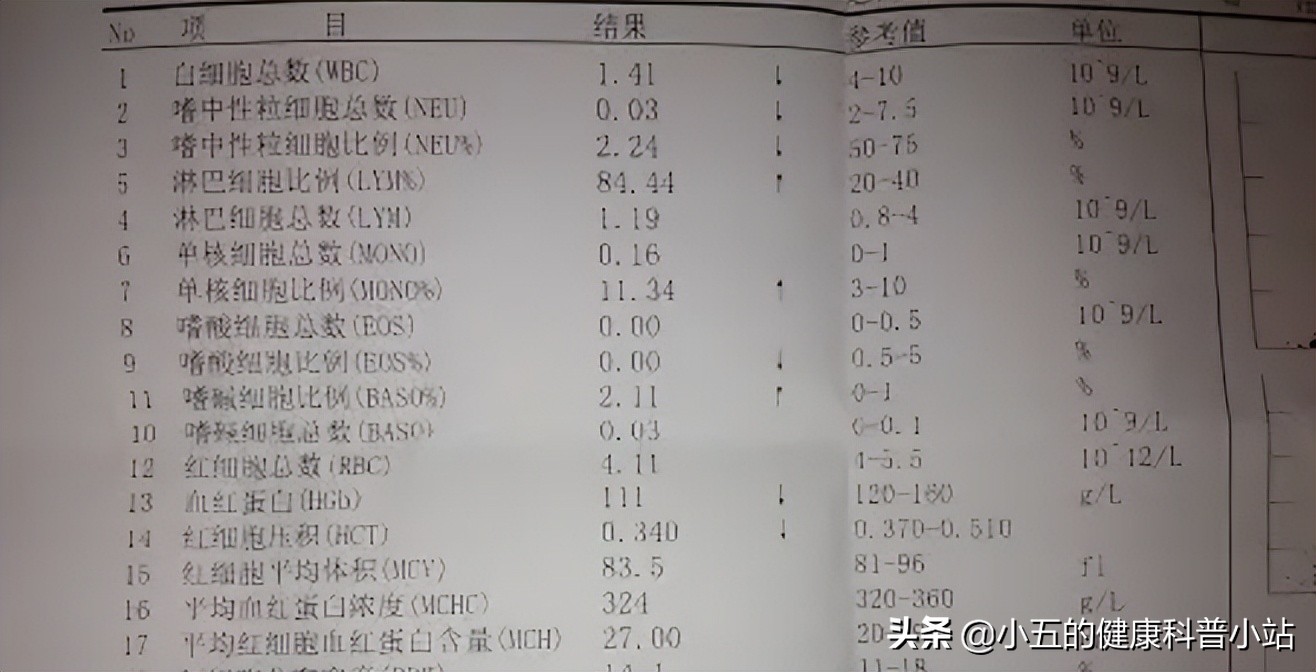 老年人白细胞2.6多无任何症状,老年人白细胞增高怎么降得快点