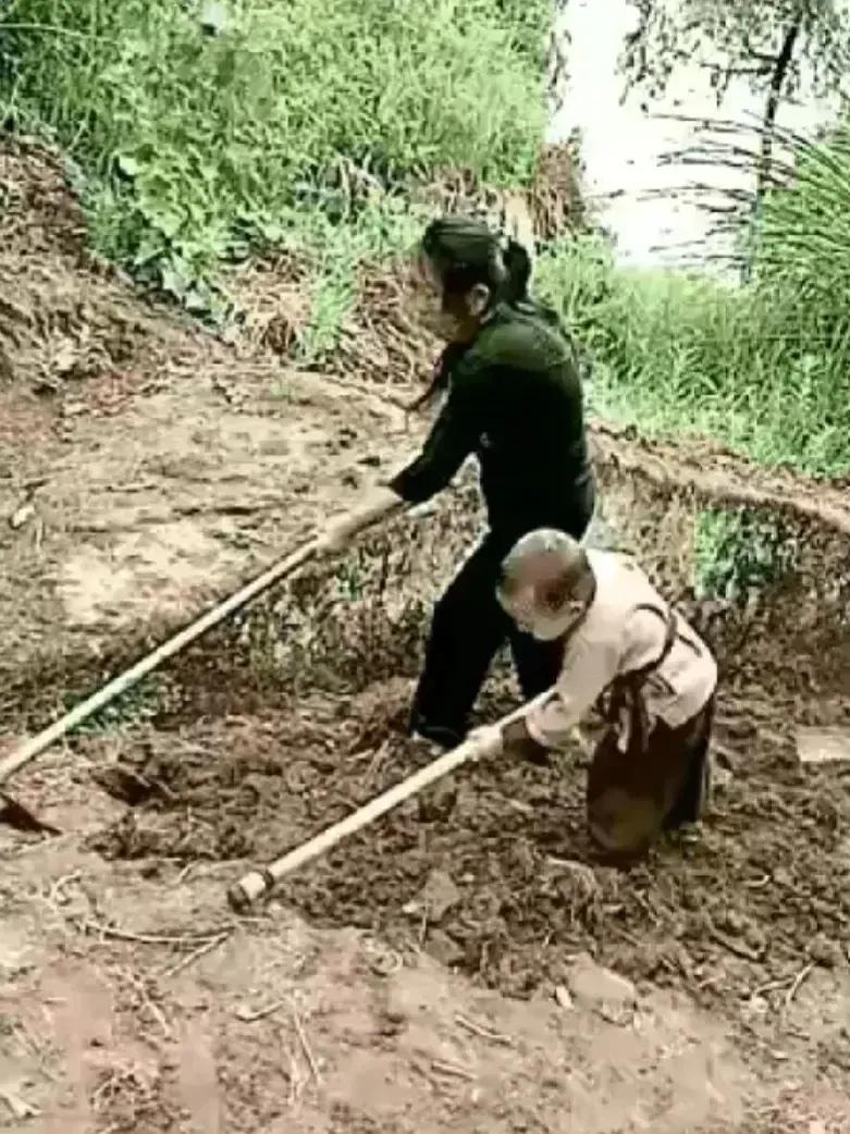 高质量老干部网名,适合老干部的网名