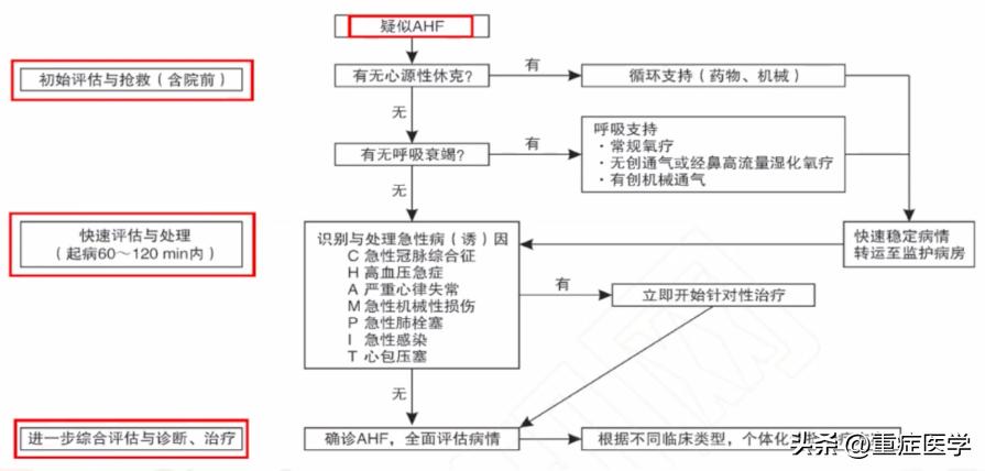 急性心力衰竭的诊断和治疗课件,急性心力衰竭指南