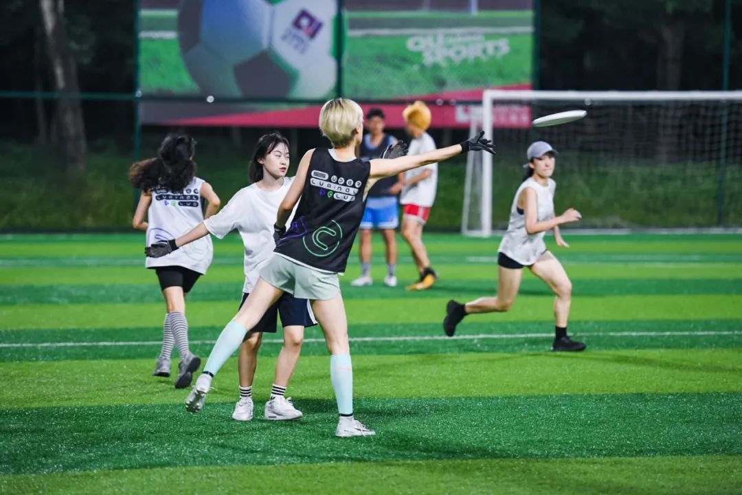 足球场内飞盘场外踢足球,足球场内飞盘与狗