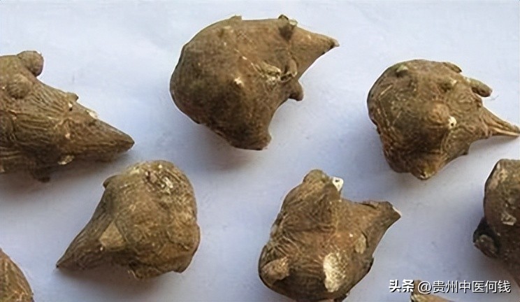 我敢肯定，这是头条最长的一篇文章，信不信？