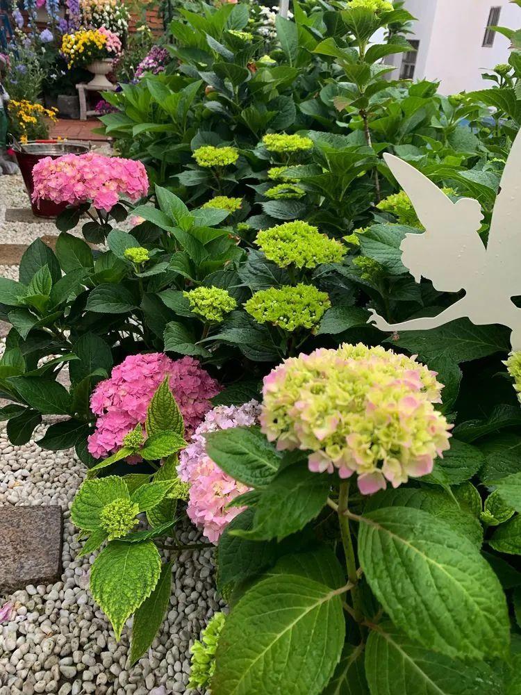 两家共用一个平台怎么解决,两家共用一堵墙发生矛盾怎么处理