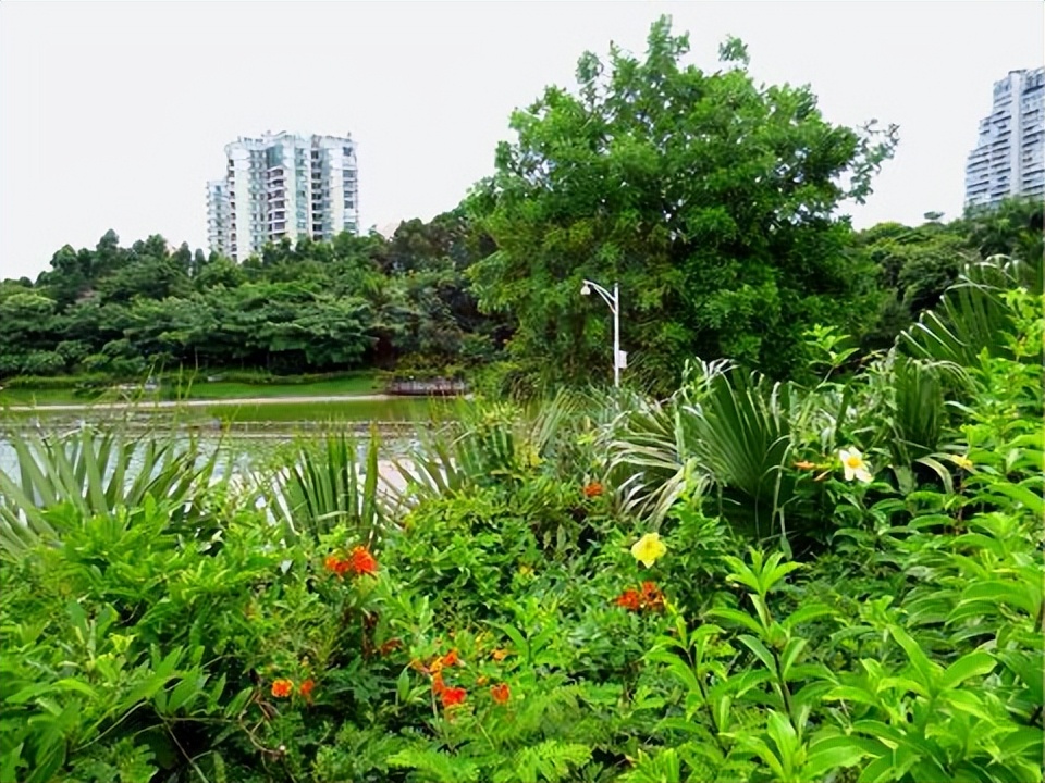 竹子林房子值得买,竹子林房子为什么便宜