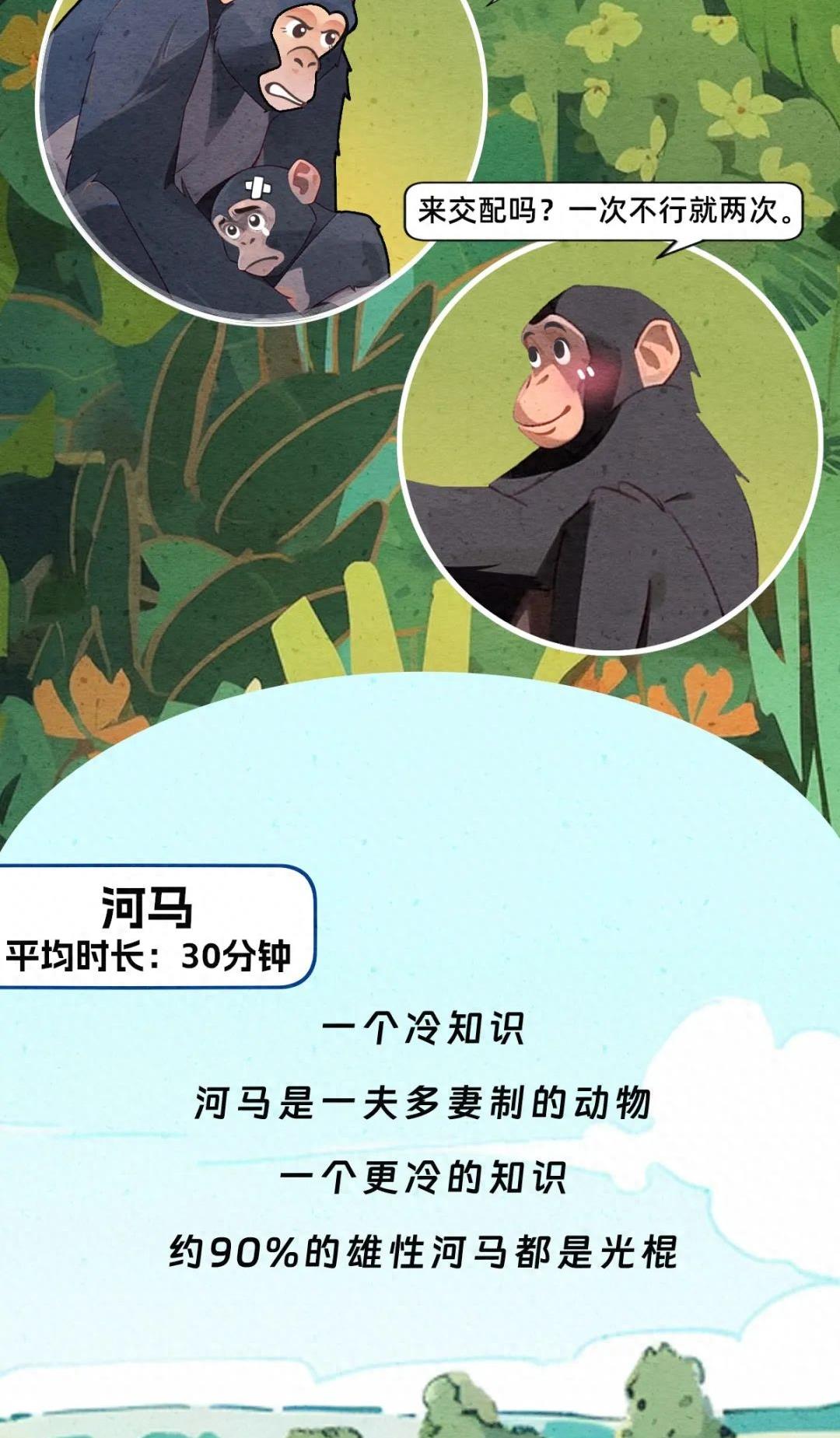 动物交配行为鉴赏，真的触碰到了我的知识盲区（漫画）