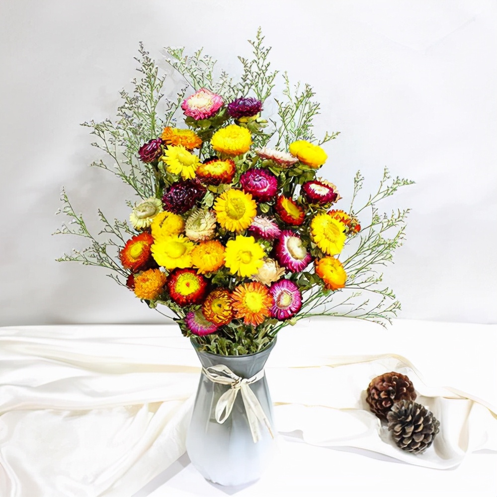 永生花蜡菊,蜡菊开几个月的花