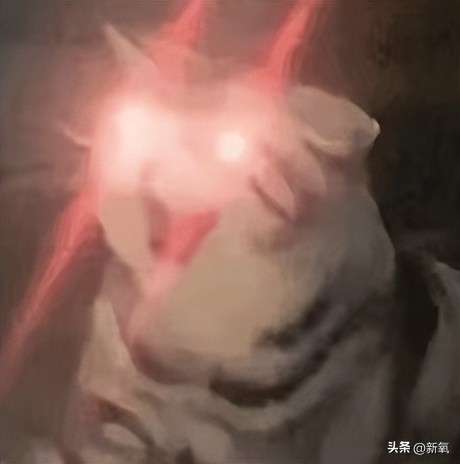 眼睛怎么才能变成星星眼,怎么让眼睛变星星眼