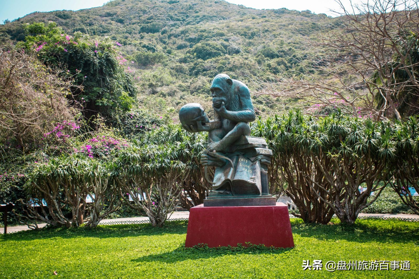 三亚租车自驾海南环岛得多久,海南三亚当地租车