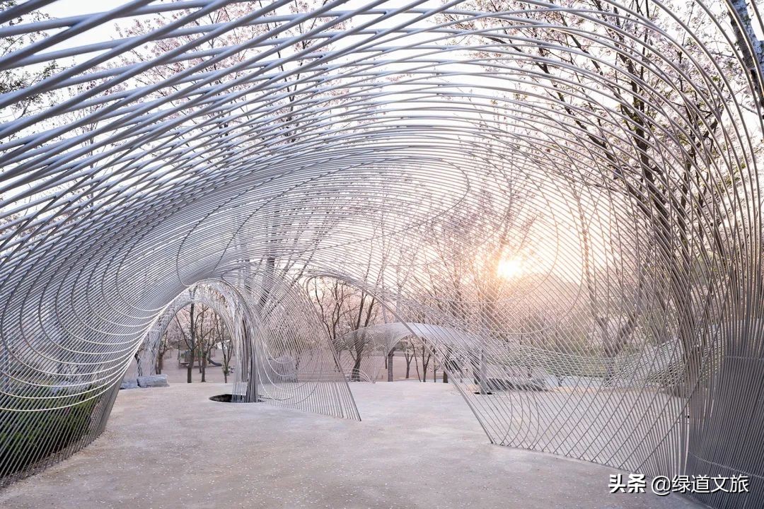 樱花树下的约定字体设计,樱花树下的约定完美国度