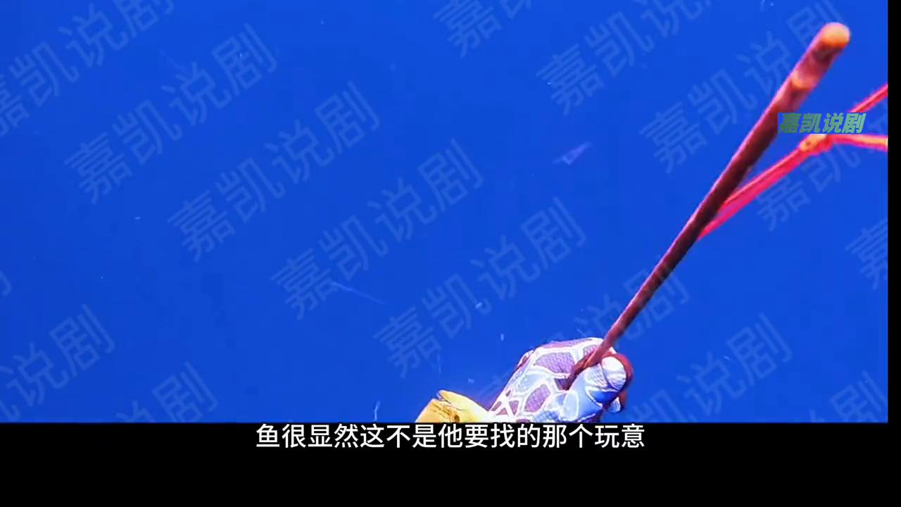 海钓路亚入门装备推荐,海钓路亚钓鱼视频