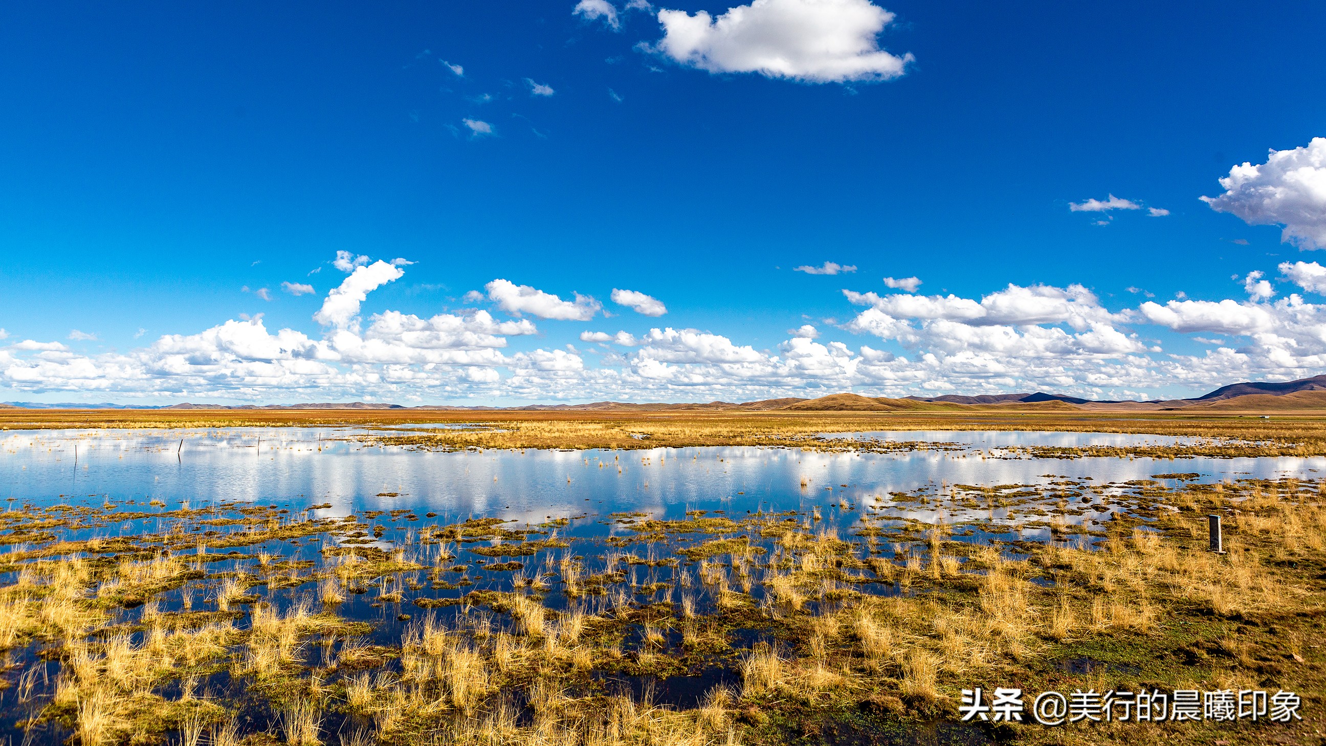 西部自驾三十三天(三十四)——川西高原的绿洲,若尔盖草原