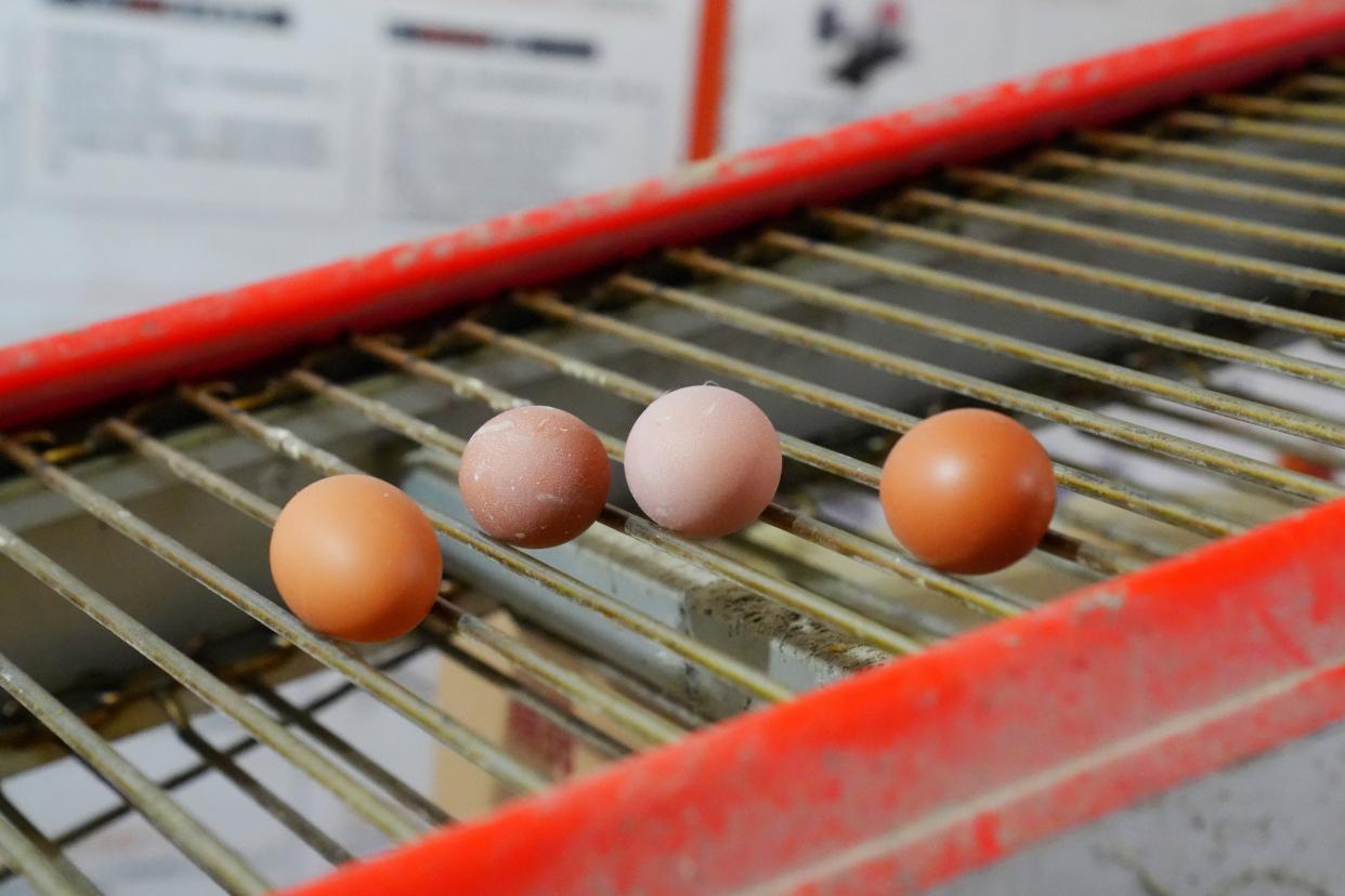 建德古村落美食有哪些特色,杭州的建德菜有什么特色