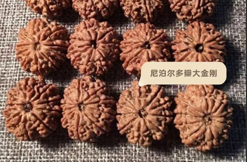 大金刚与落地红的区别,怎么区分落地红和金刚的区别