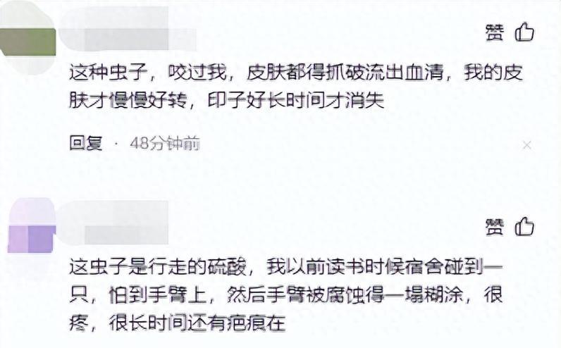 硫酸虫咬了怎么处理,硫酸虫导致皮肤损伤处理