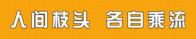 暹罗与日本之间的贸易，进一步促进了日本商业，加强哪方面的交流
