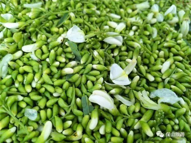 什么是芦丁?芦丁对菌的抑制研究