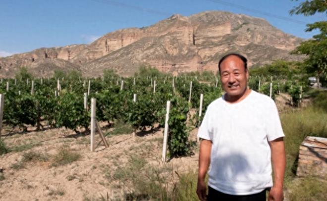 赵薇法国葡萄庄园,赵薇哪年在法国买的酒庄