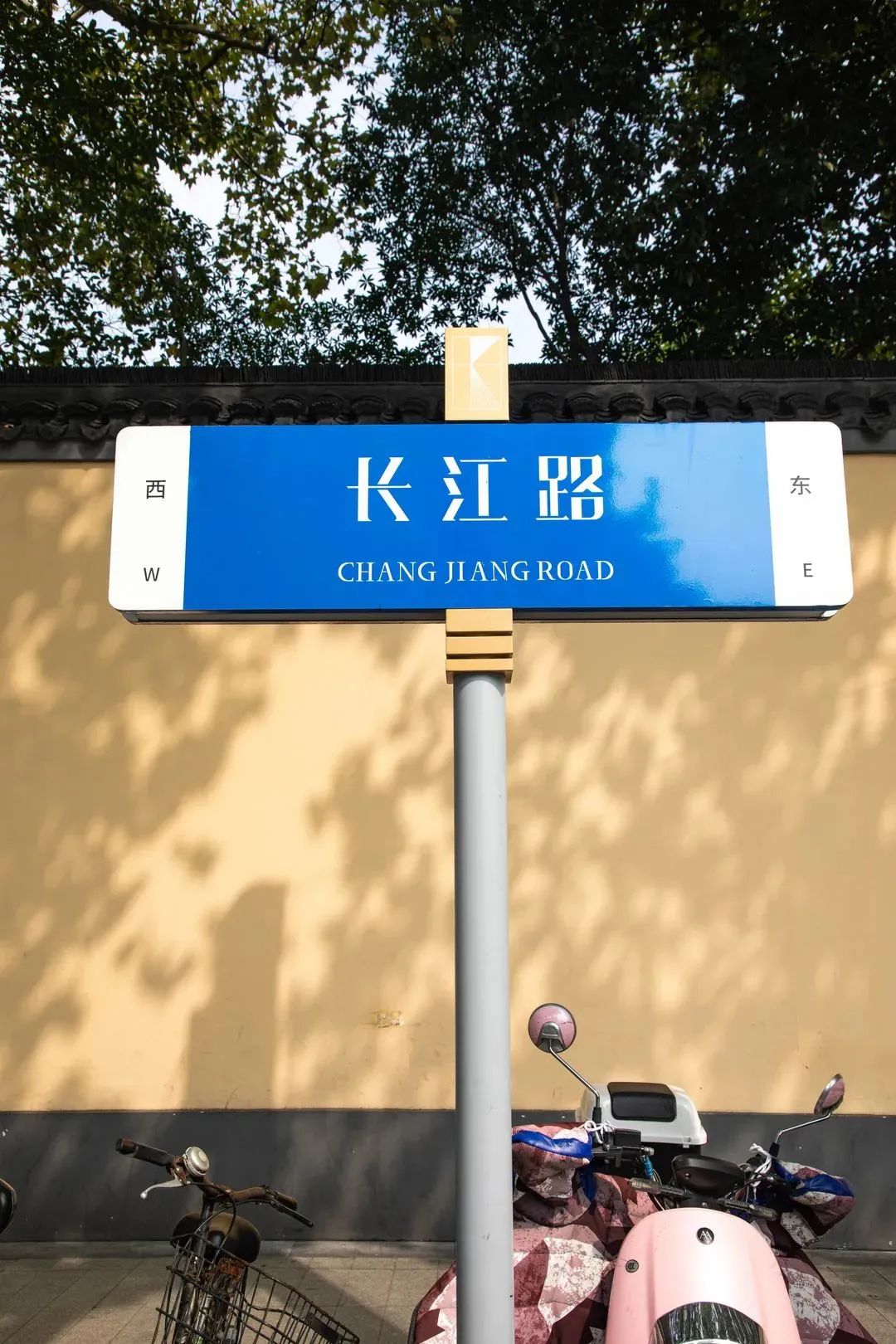 南京的法国梧桐秋天图片,南京法国梧桐秋天