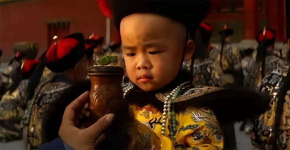 养猫养狗都养不活,养狗养猫养蜘蛛