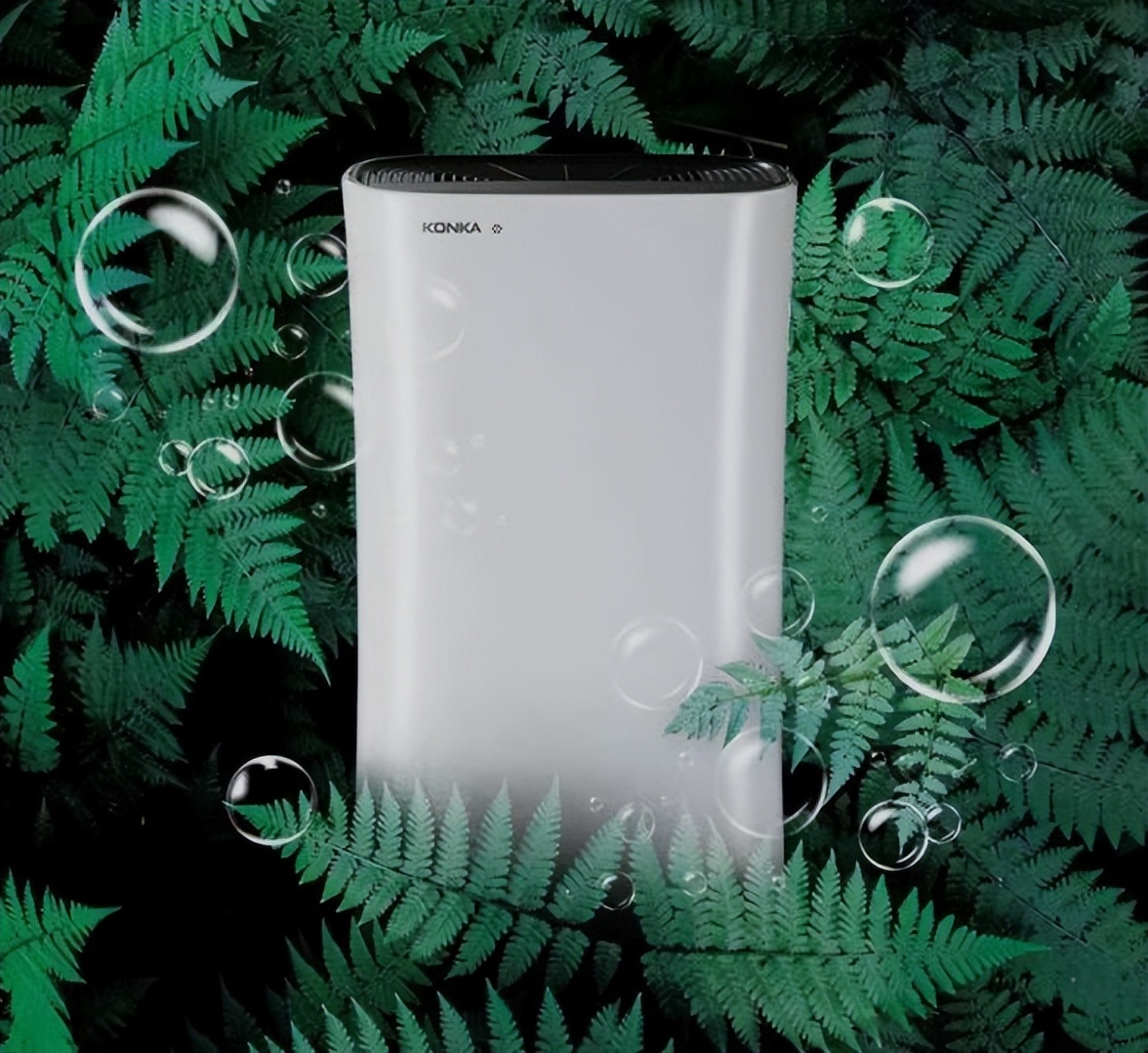 口碑最好的负离子空气净化器排名,知名品牌负离子空气净化器排行榜