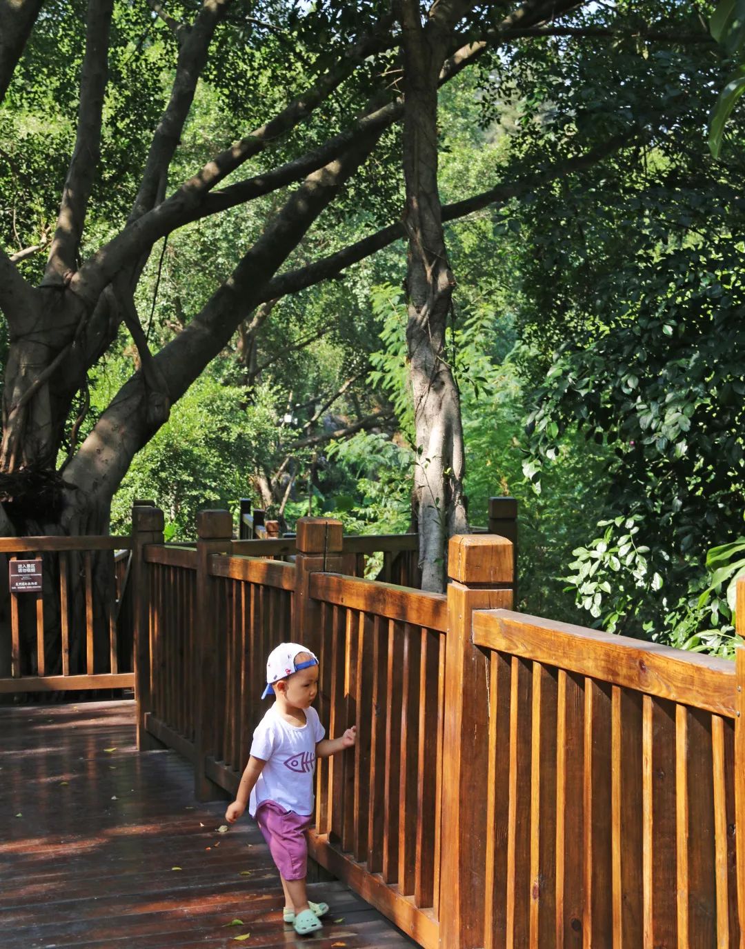 厦门亲子旅行攻略,厦门北站亲子宾馆