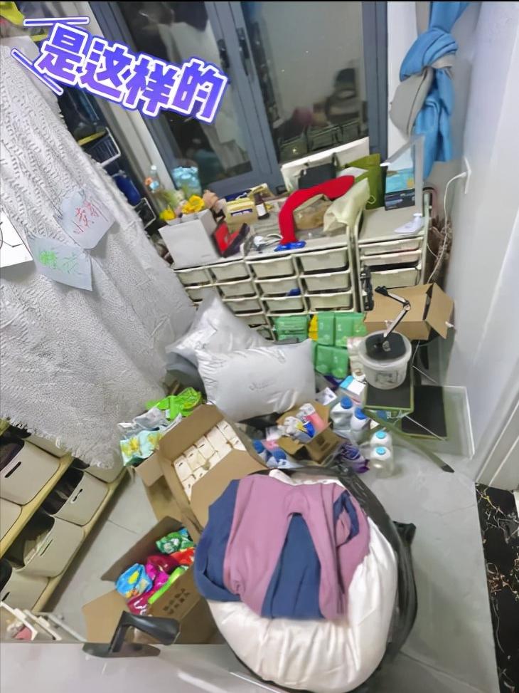 童星郝劭文的视频,郝劭文童星挣的钱