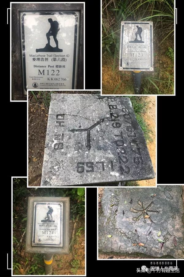 香港徒步麦理浩径全程攻略介绍,香港狮子山徒步攻略