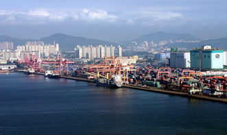 同样孤悬敌后，31师91团安全脱险而180师损失惨重，91团如何做到