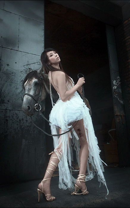 读马语者的感悟,一分钟看懂一幅摄影作品