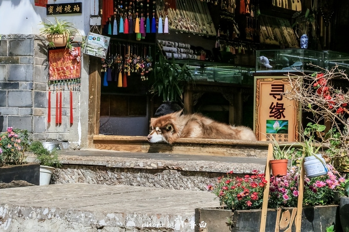 玩转云南自由行,昆明大理丽江6天5晚游多少钱