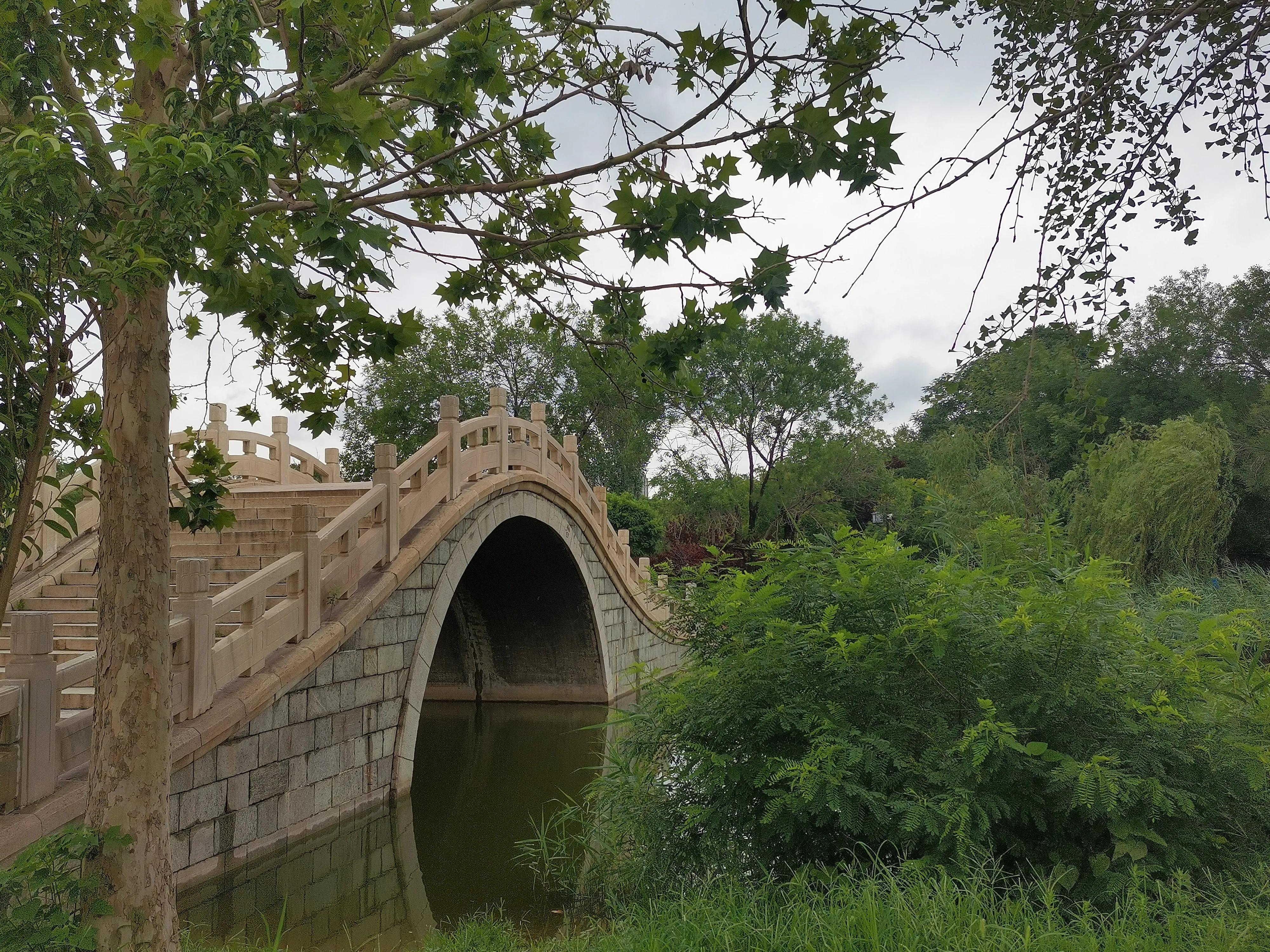 大雨过后的天津,大雨后的公园视频