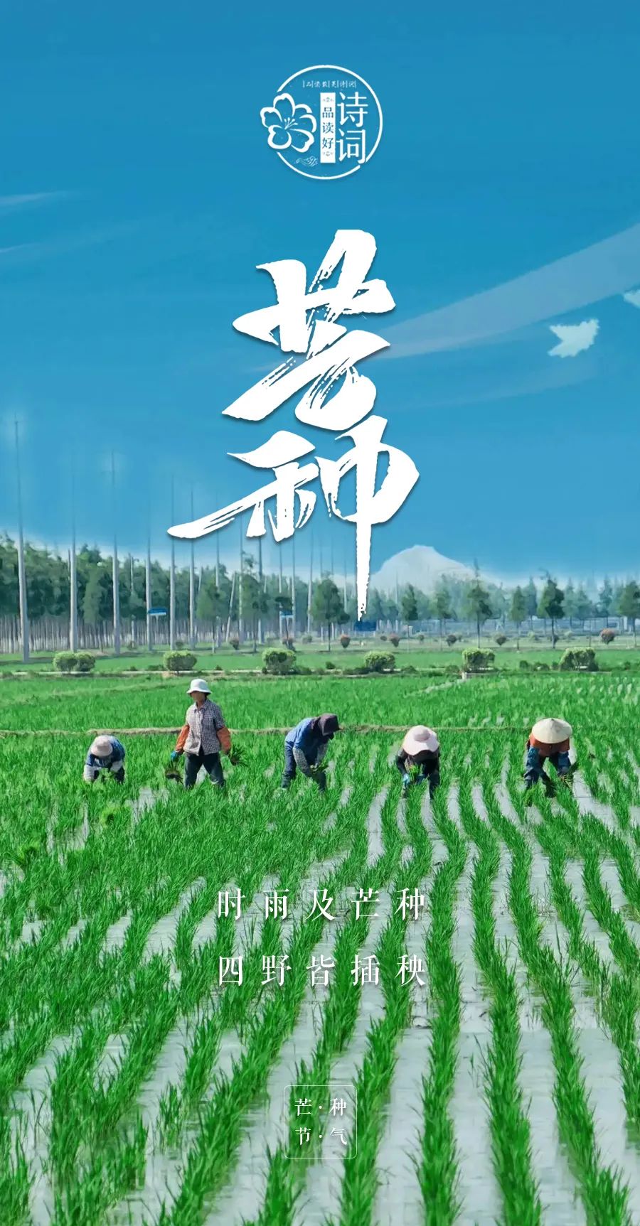 芒种悟人生的诗句,关于芒种的诗句汇集