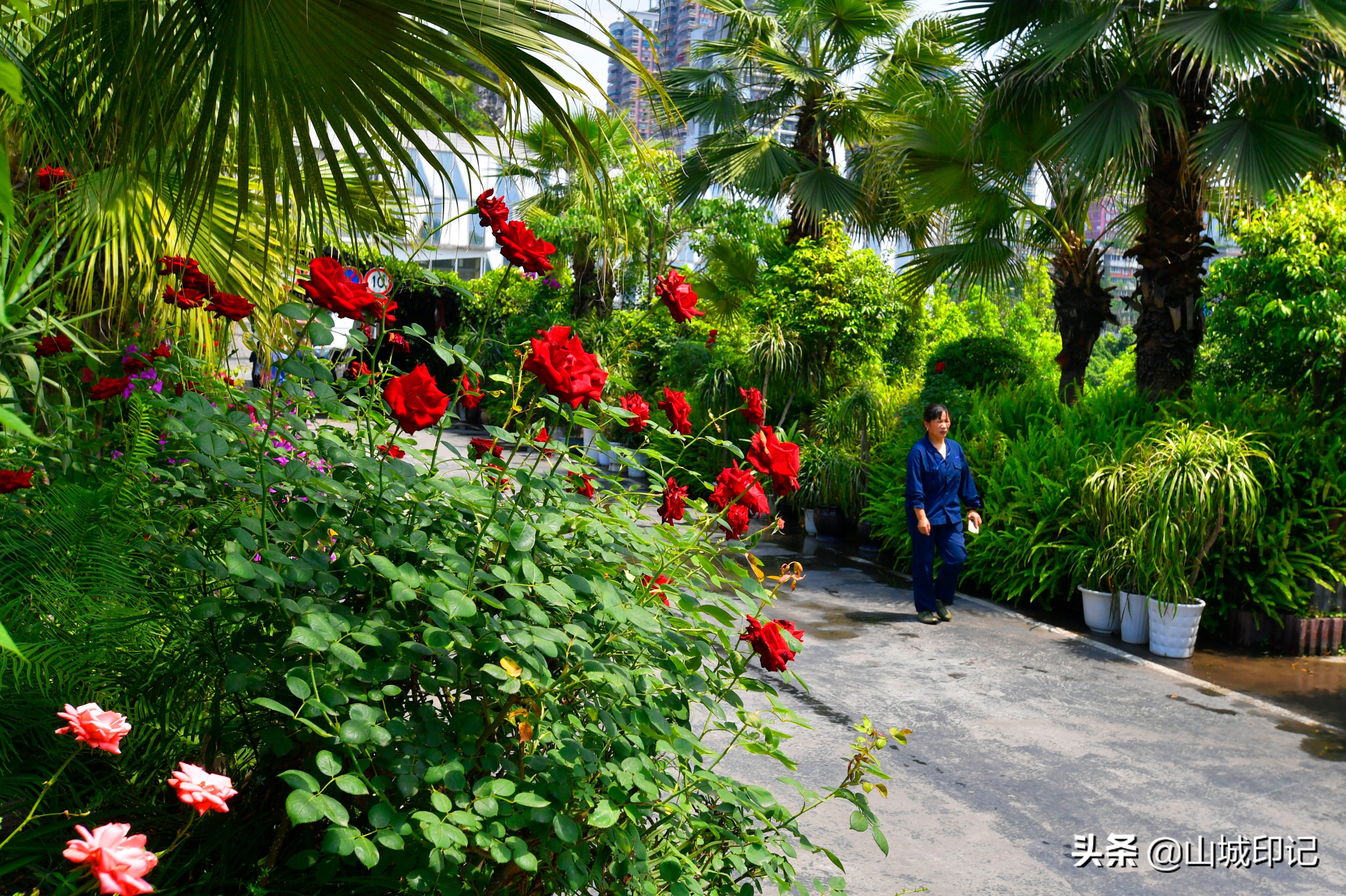 閲嶅簡鍙弬瑙傜殑宸ヤ笟鍥尯,澶編浜嗗揩鏉ラ噸搴嗘墦鍗″惂