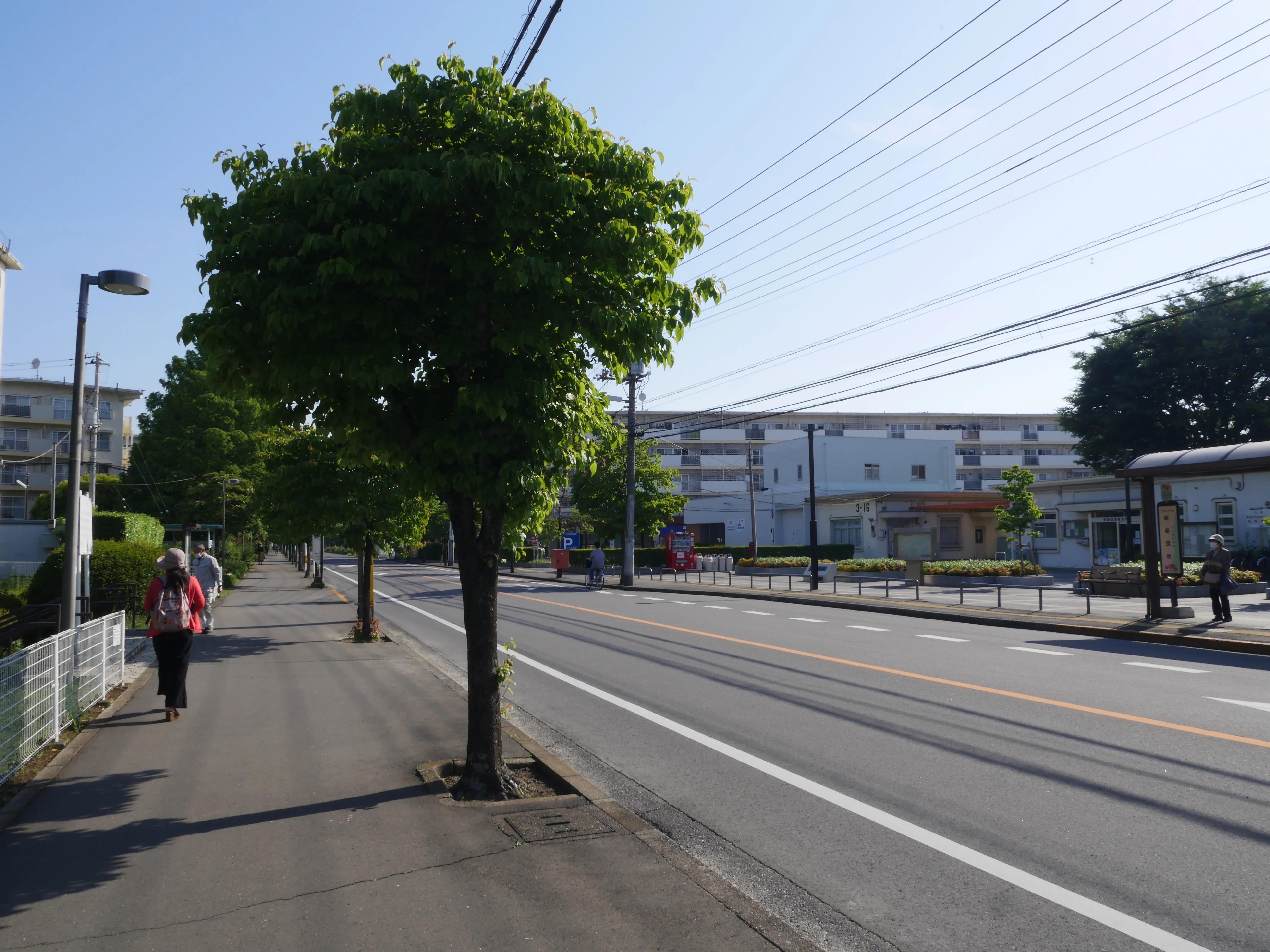 在日本生活花费大的地方,日本东京乡下生活