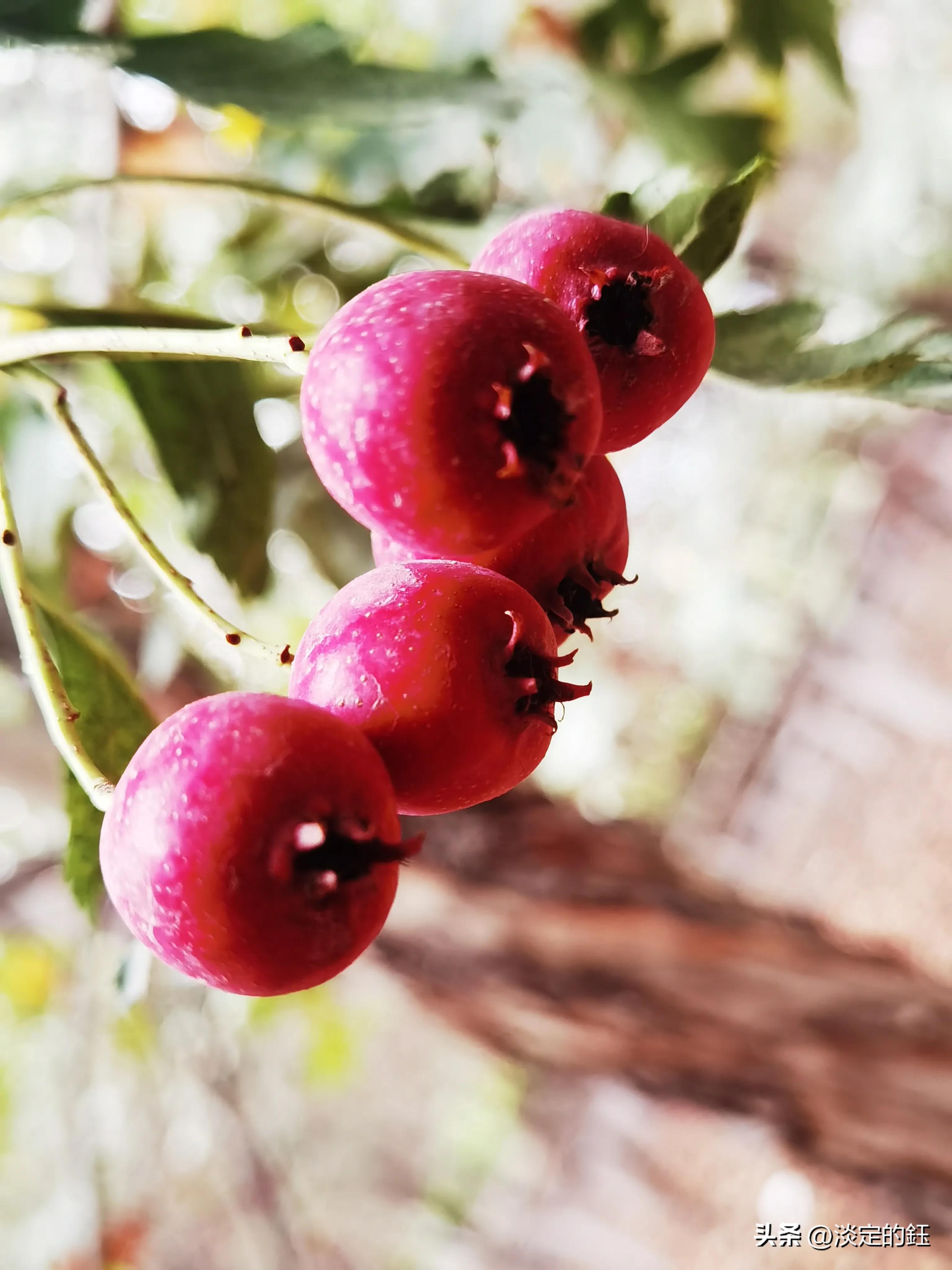 相遇美容护肤,相遇小皂手工精油皂