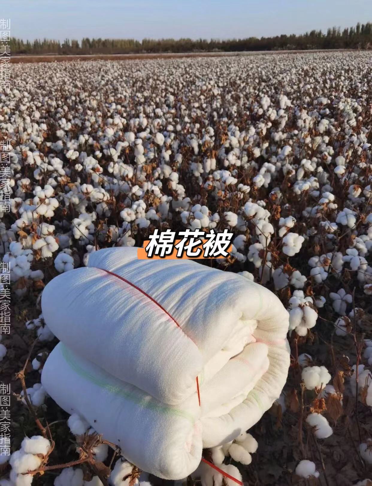 贵的被子和便宜的被子有什么区别,便宜被子和贵被子的区别