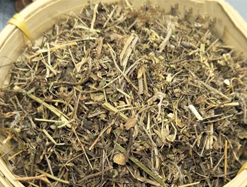 《柳崖外编》奇异怪物四则：鼷鼠、我有油、和合草、冬虫夏草