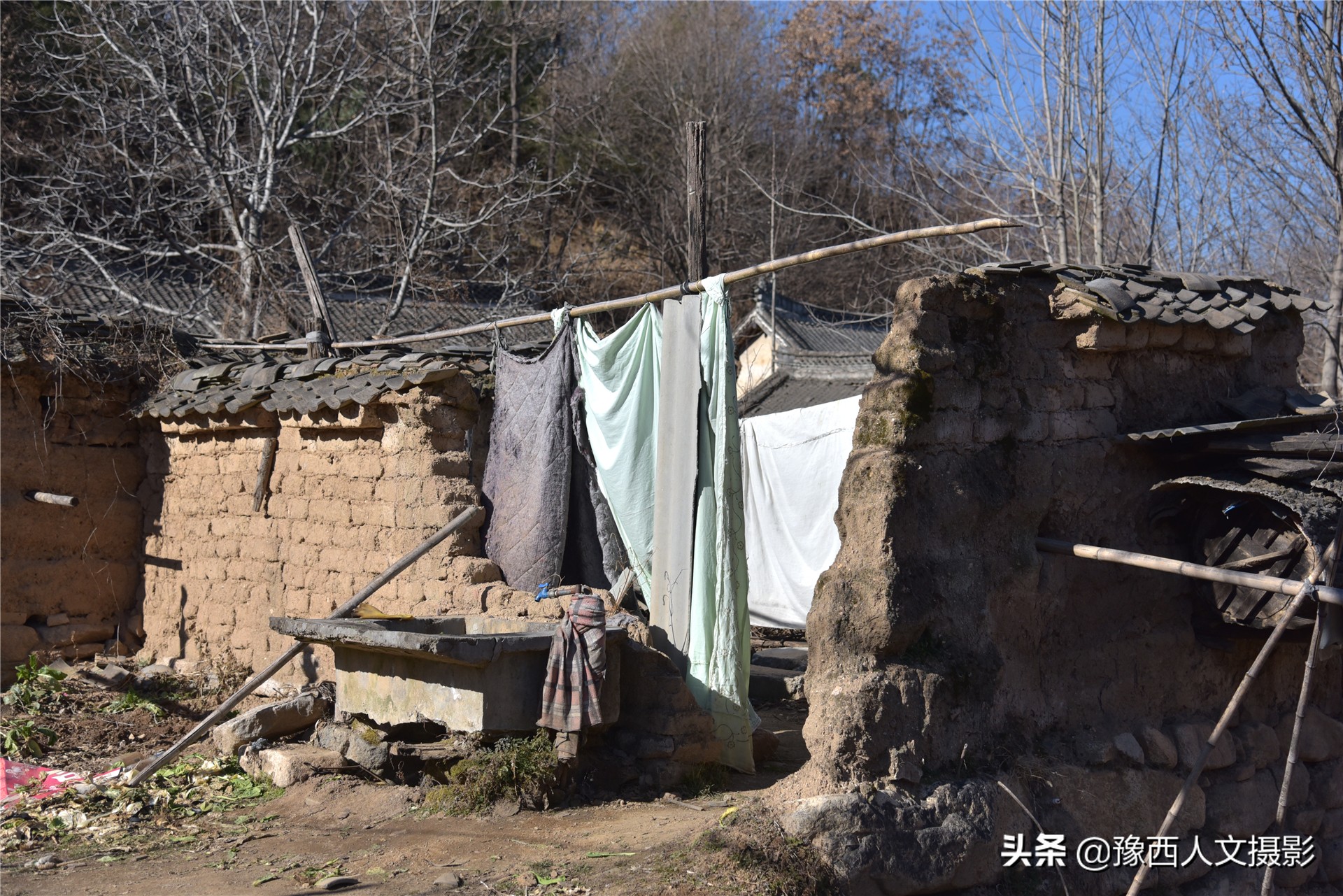 孤山坟墓葬在哪里好,孤山上的坟墓