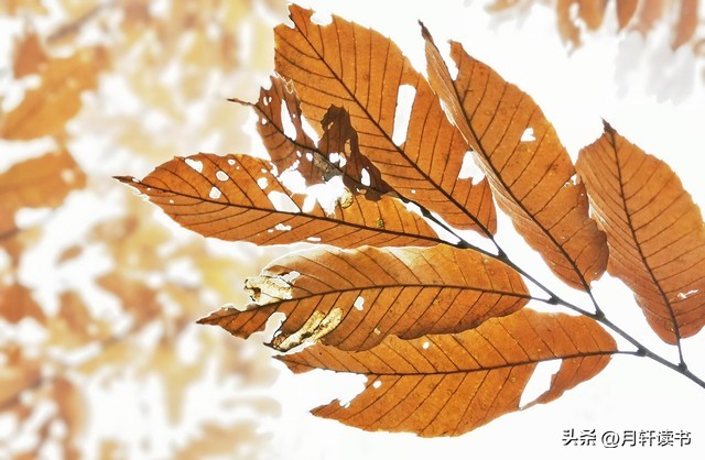 李筱懿的《情绪自控》,情绪自控作者李筱懿第二章读后感