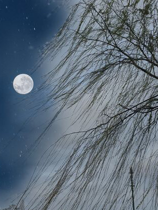 人约黄昏后月上柳梢头,人约黄昏后月上柳梢头视频素材