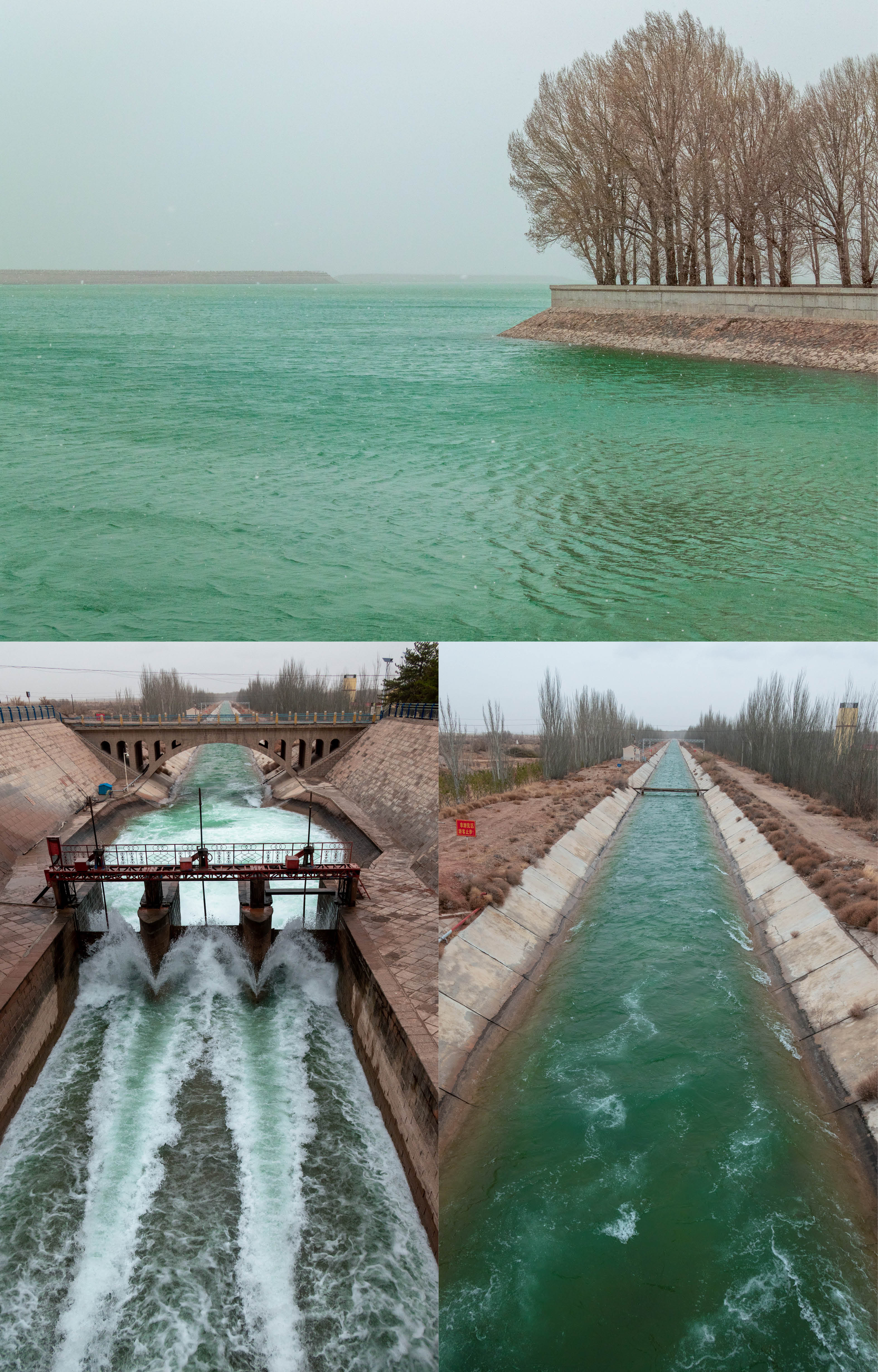 凉州不凉米粮川：人间四月天，行游河西天府之国“银武威”