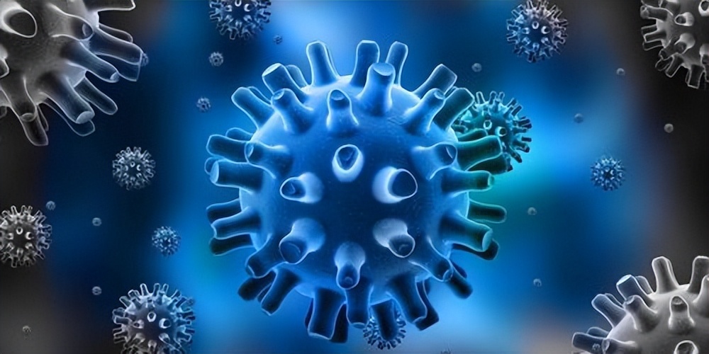 河豚毒性,河豚为什么吃了有毒的食物不中毒