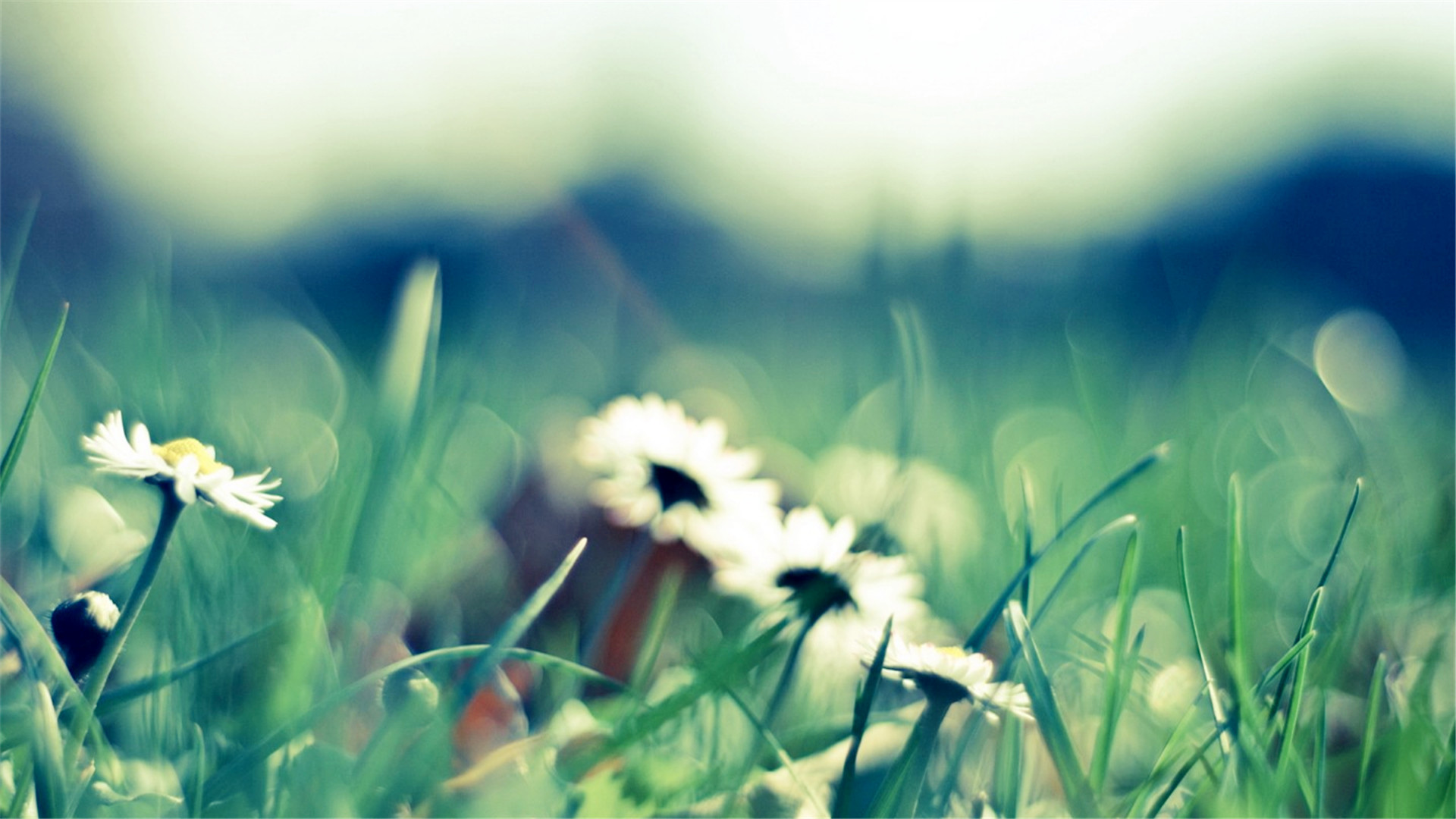 为什么有的人越活越矫情,为什么会有人觉得矫情